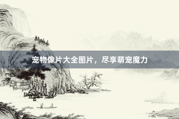 宠物像片大全图片，尽享萌宠魔力