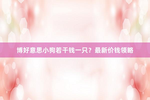 博好意思小狗若干钱一只？最新价钱领略