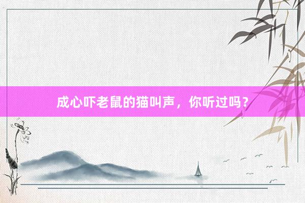 成心吓老鼠的猫叫声，你听过吗？