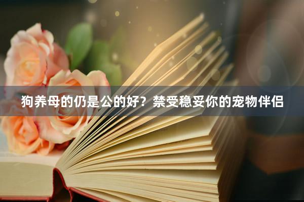 狗养母的仍是公的好？禁受稳妥你的宠物伴侣