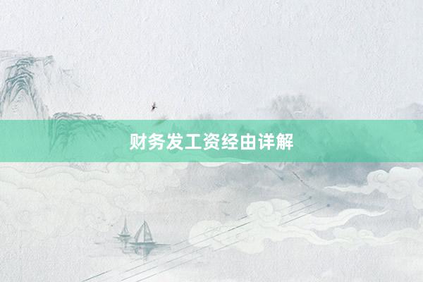 财务发工资经由详解