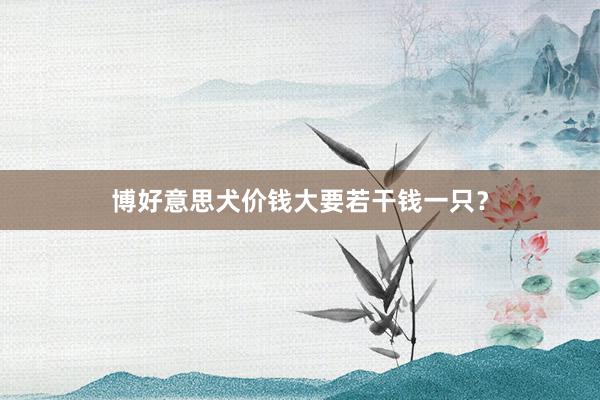 博好意思犬价钱大要若干钱一只？