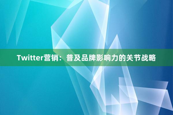 Twitter营销：普及品牌影响力的关节战略